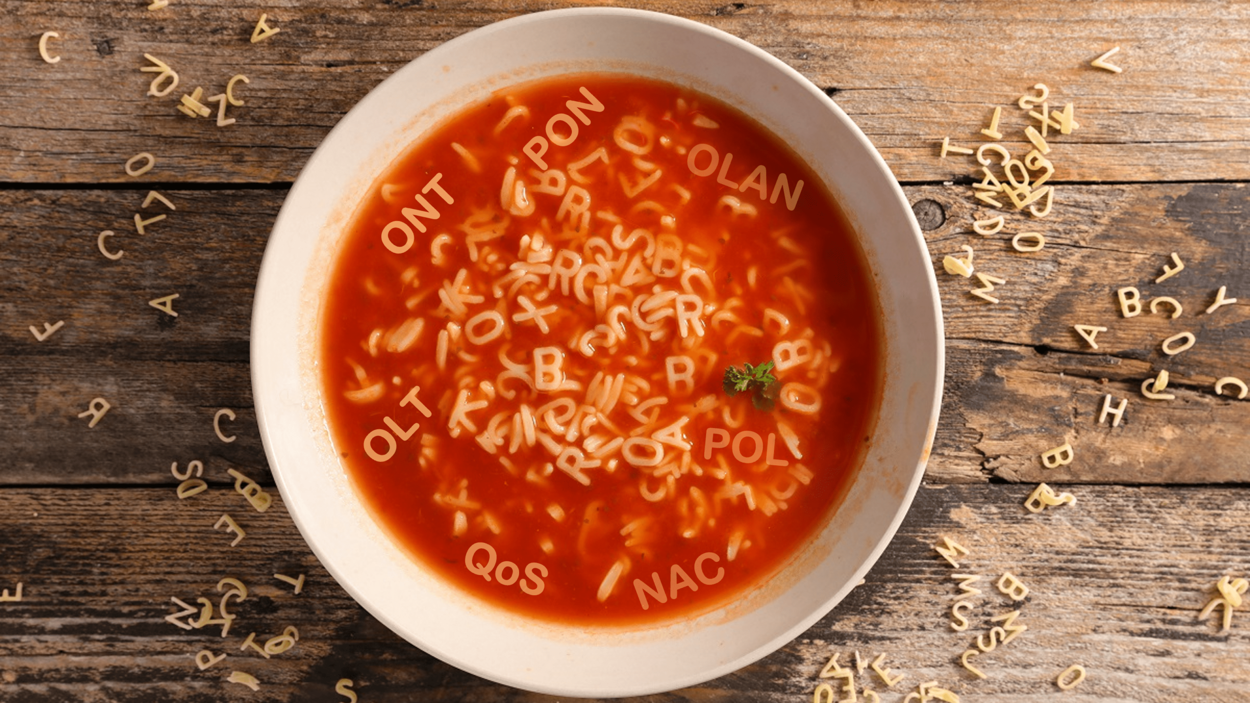 What does OLT and ONT mean in this alphabet soup called Optical LAN?